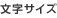 �����T�C�Y