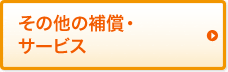 �ΐl�����ӔC�ی�