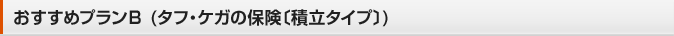 �������߃v����B (�^�t�E�P�K�̕ی��k�ϗ��^�C�v�l)