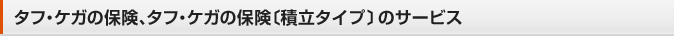 �^�t�E�P�K�̕ی��A�^�t�E�P�K�̕ی��k�ϗ��^�C�v�l�̃T�[�r�X