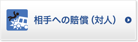 相手への賠償(対人)