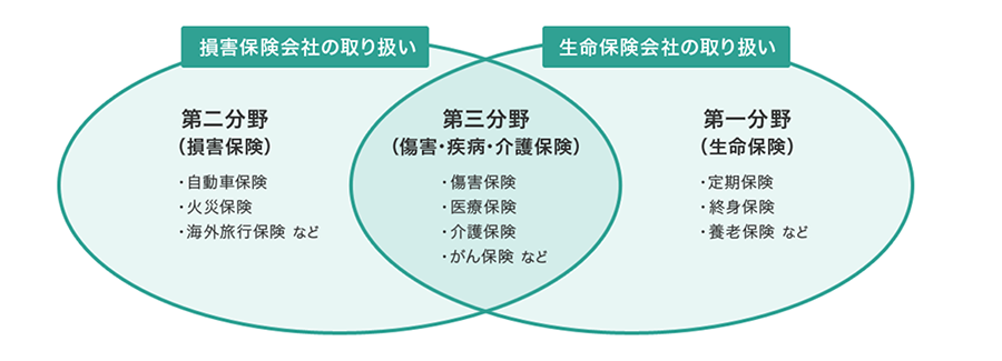 損害保険と生命保険の違い