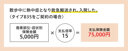 保険金お支払例