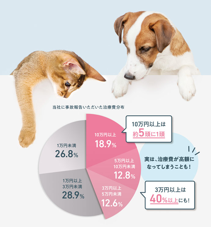 魅力的な価格 なっきゅ様専用