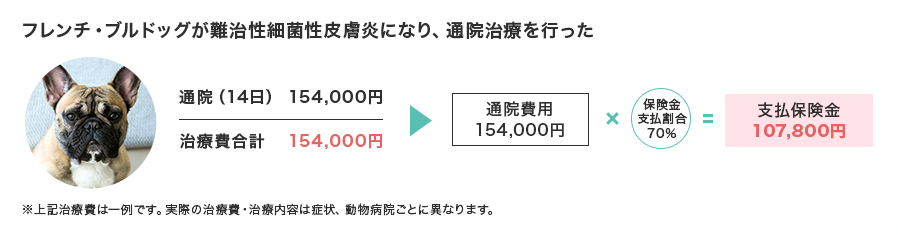 t`EuhbO׋ې畆ɂȂAʉ@Âs